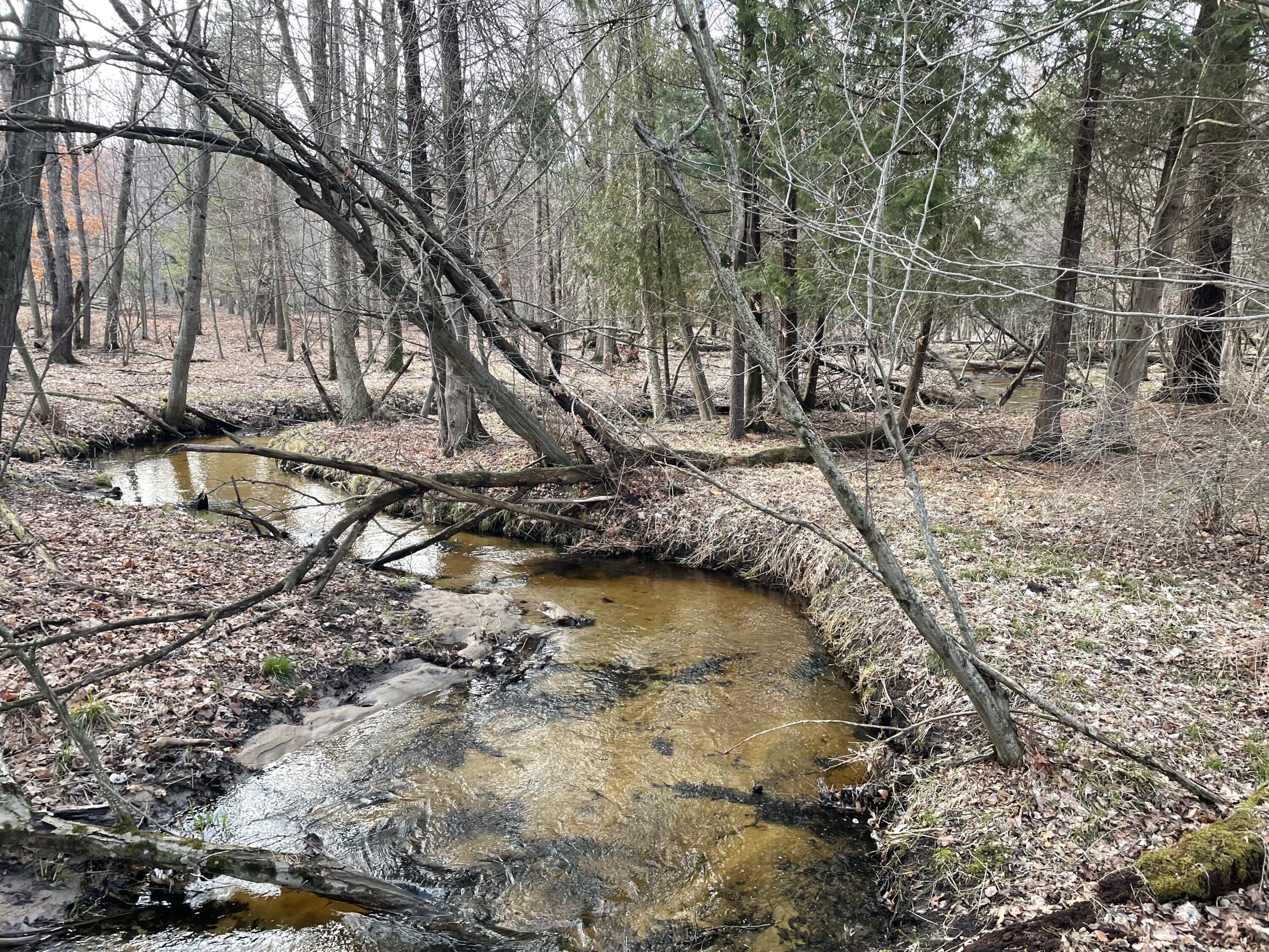 N Croswell Avenue