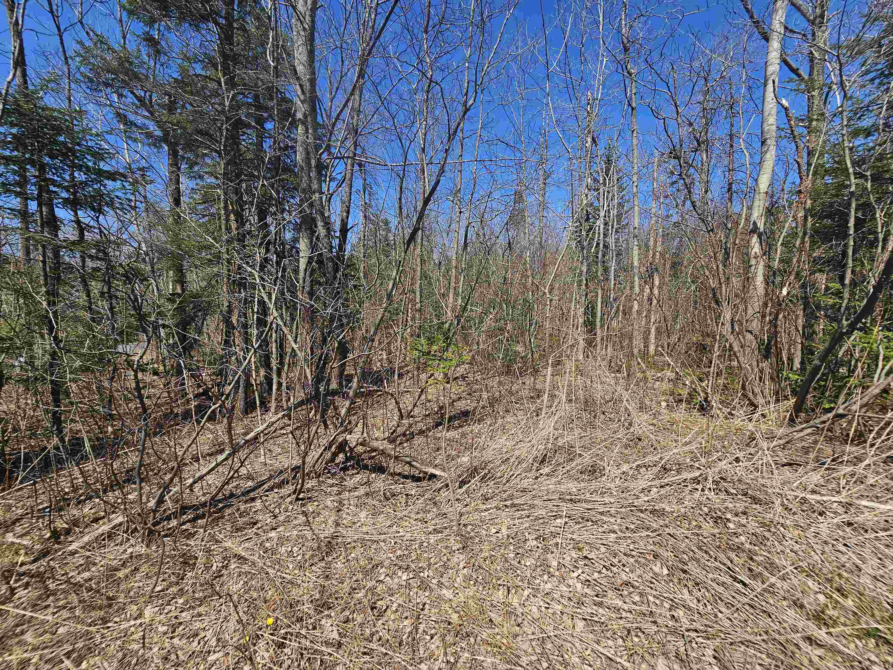 336 Dover Hill Road
