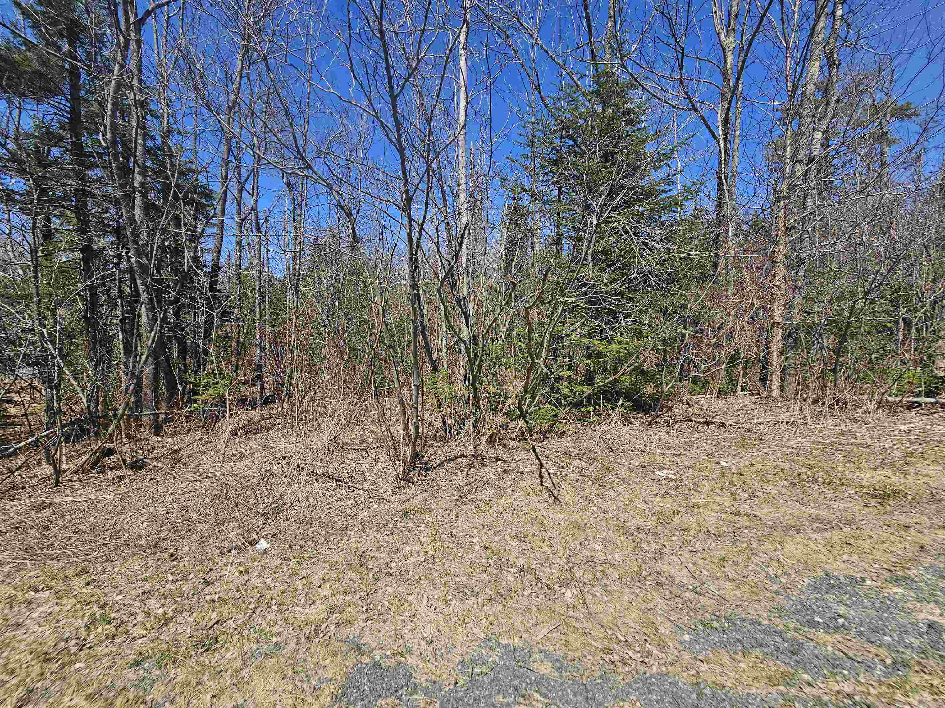 336 Dover Hill Road
