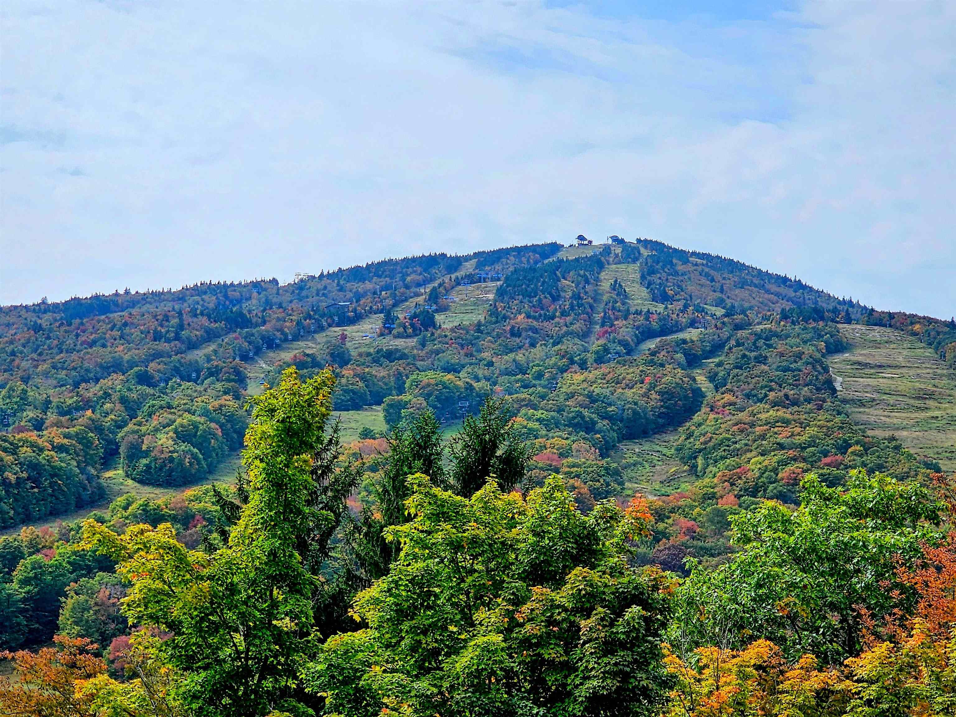 7G Mountain Village Unit: 137