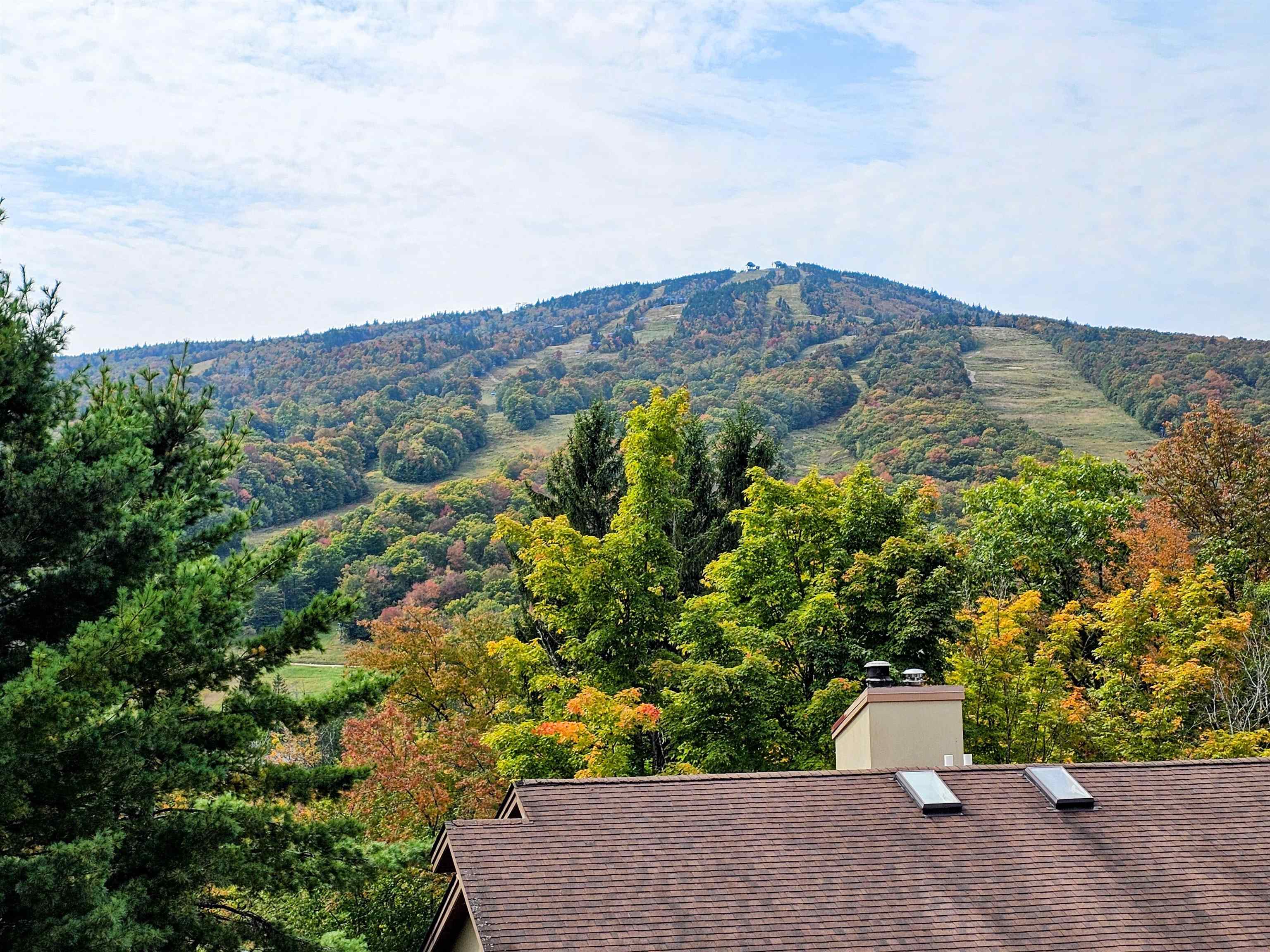 7G Mountain Village Unit: 137