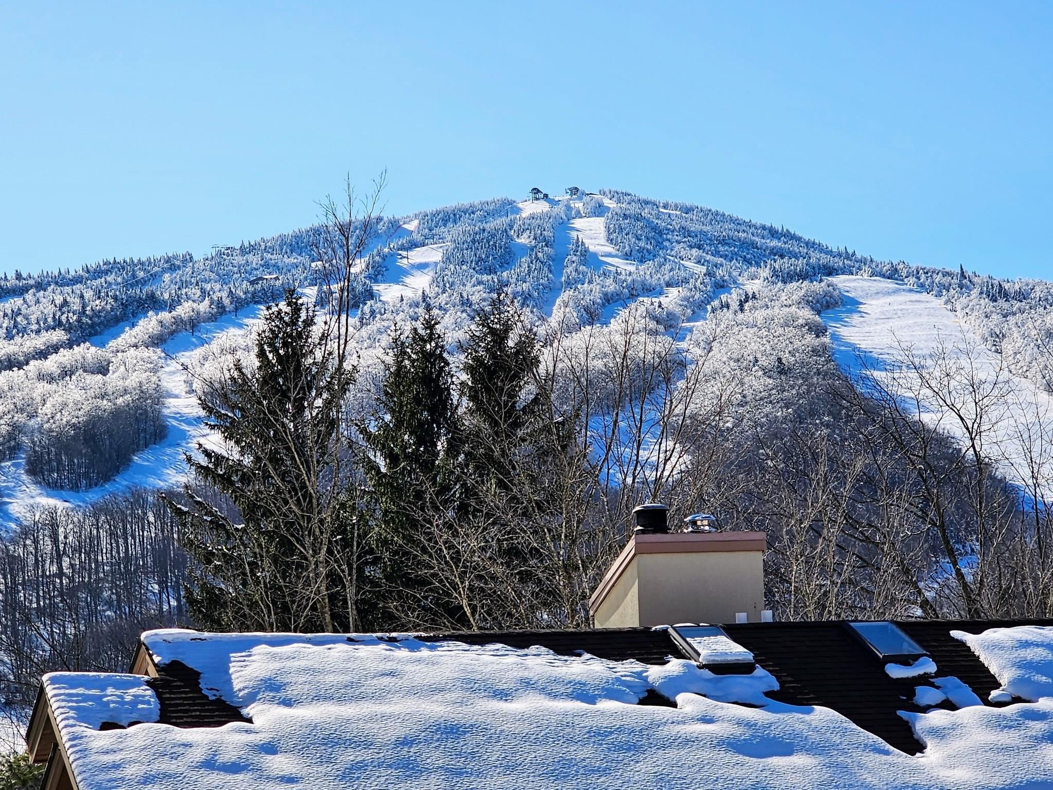 7G Mountain Village Unit: 137