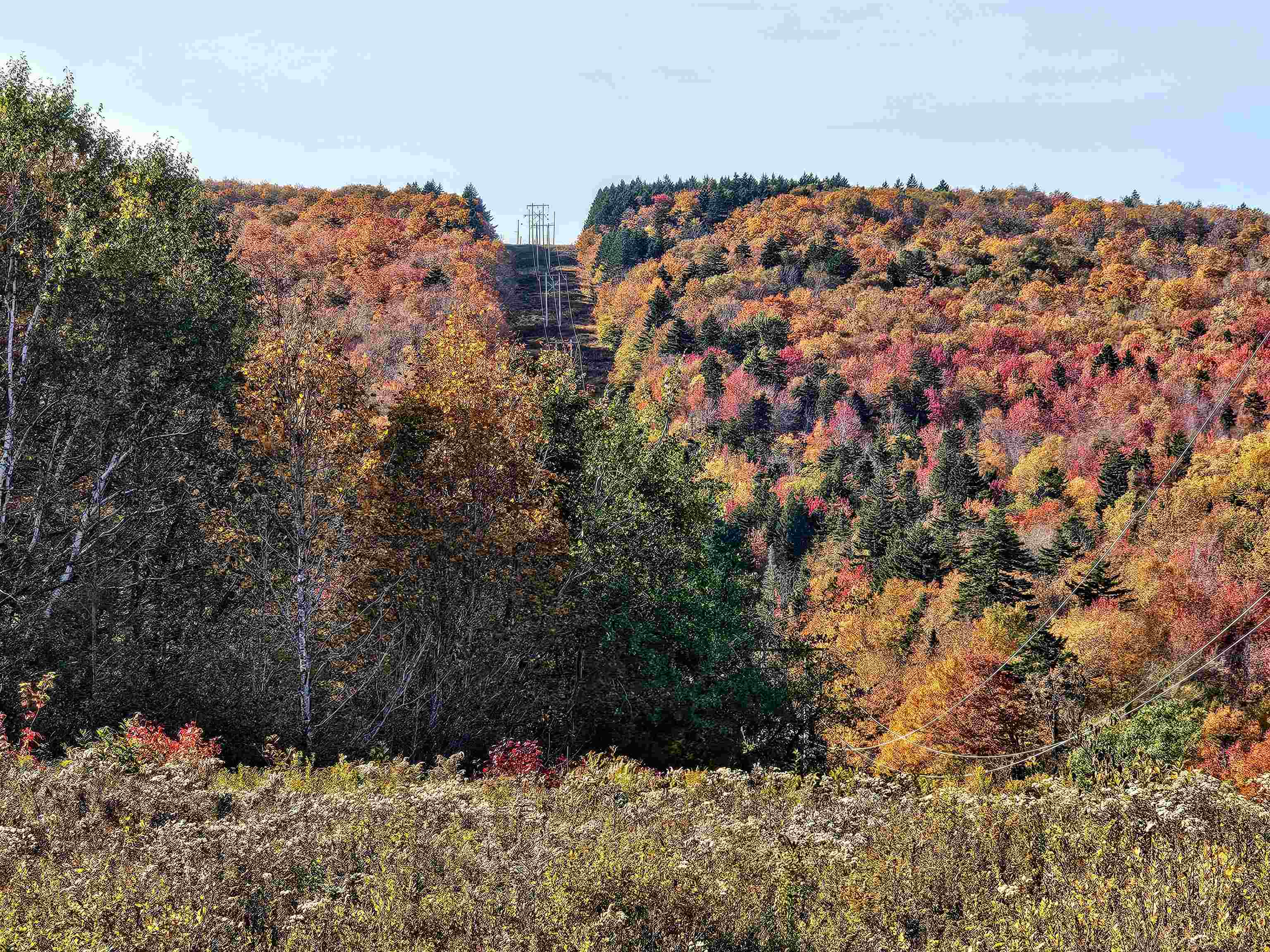 194 Route 8