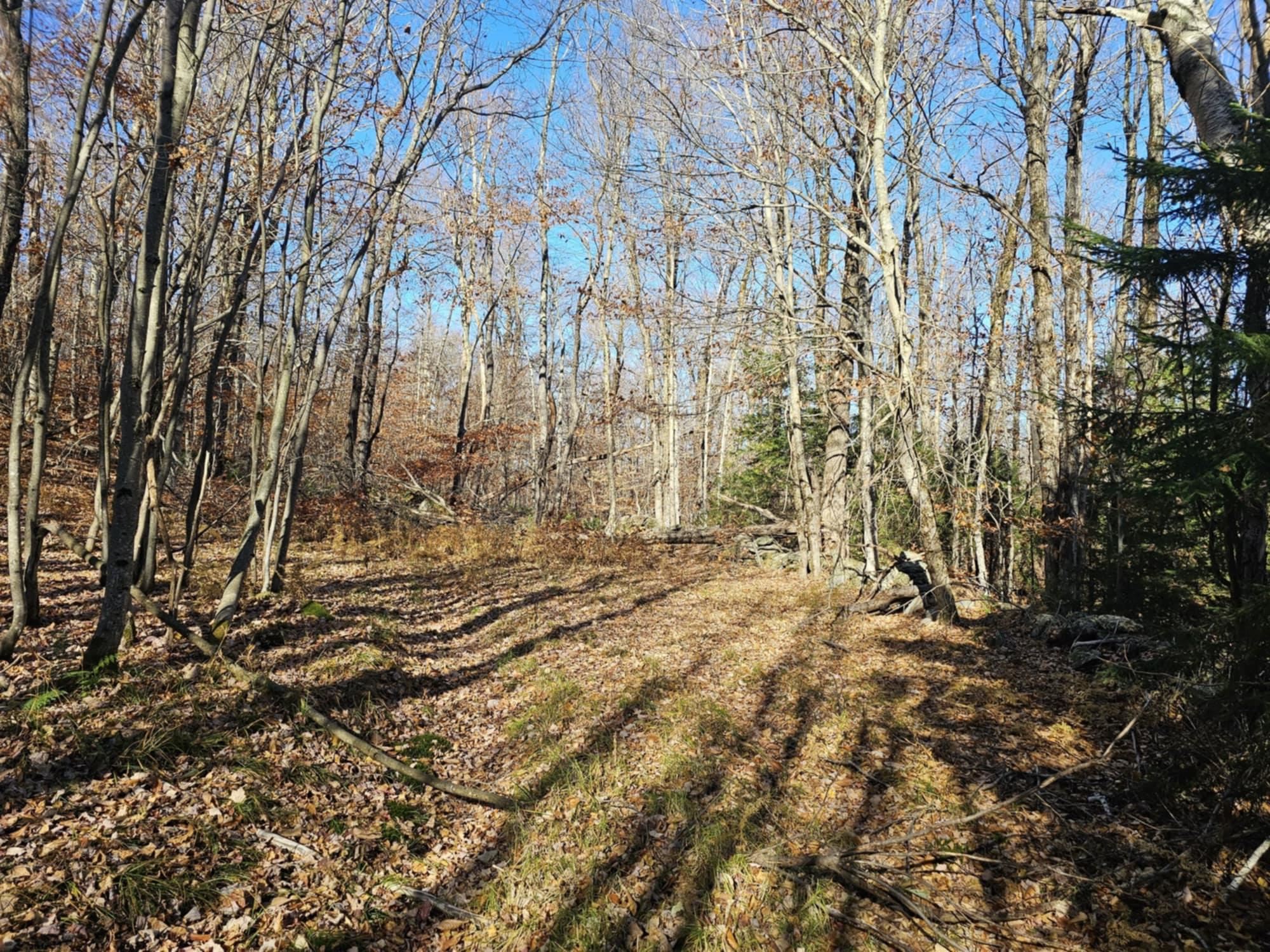 194 Route 8