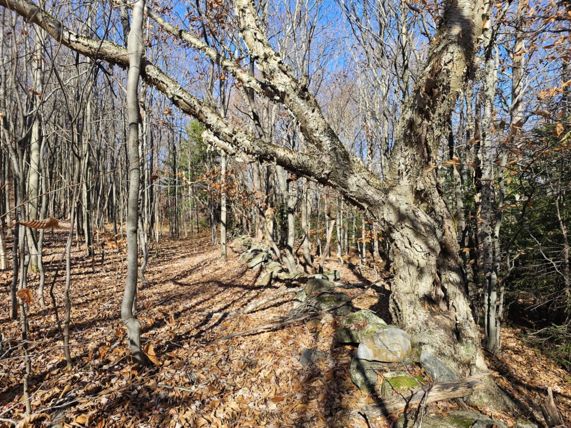 194 Route 8