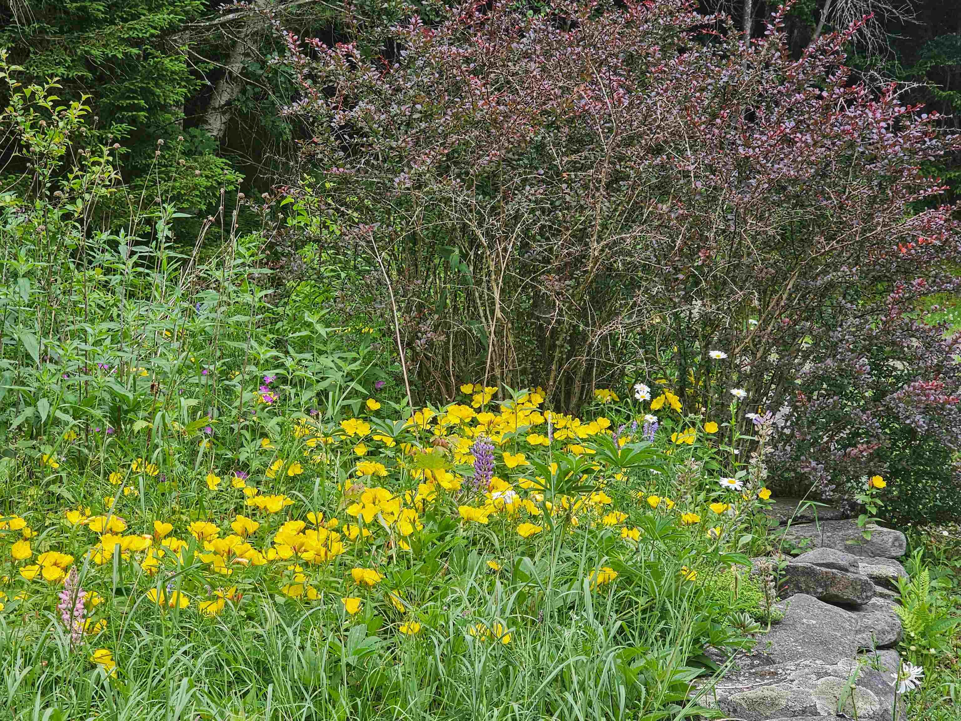 41 Top of the Hill Road