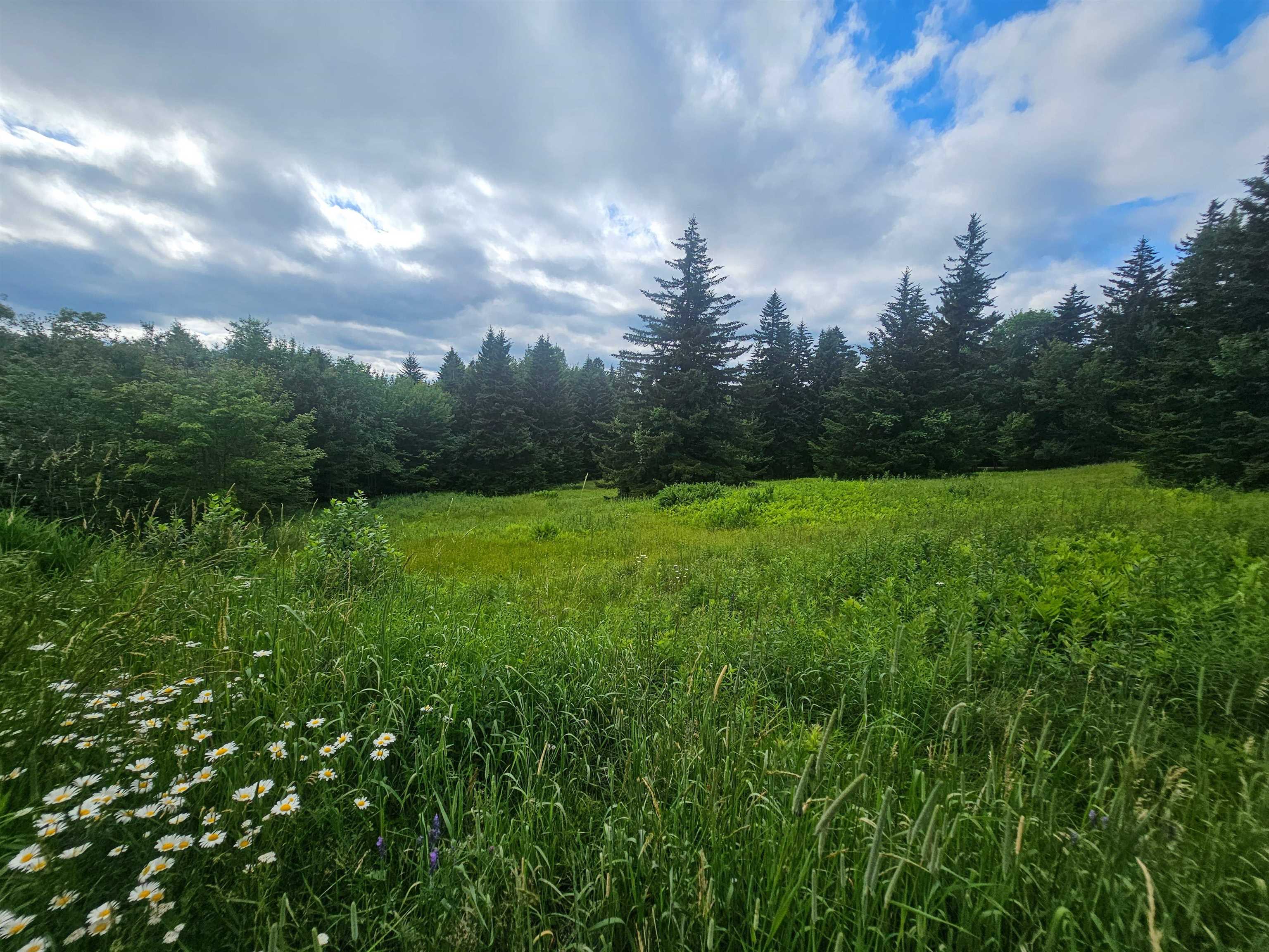 41 Top of the Hill Road