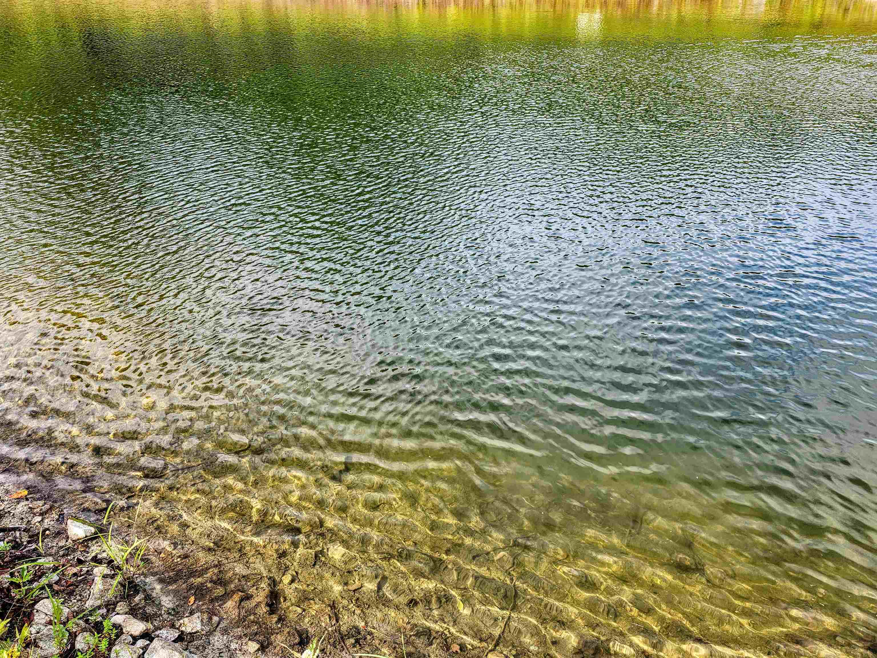 00 West Hill Road South