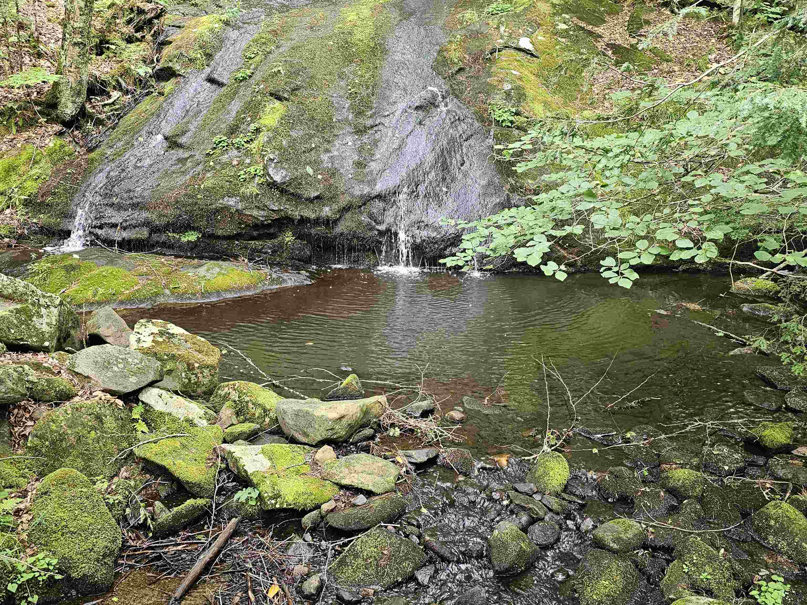 1905 Turkey Mountain Road