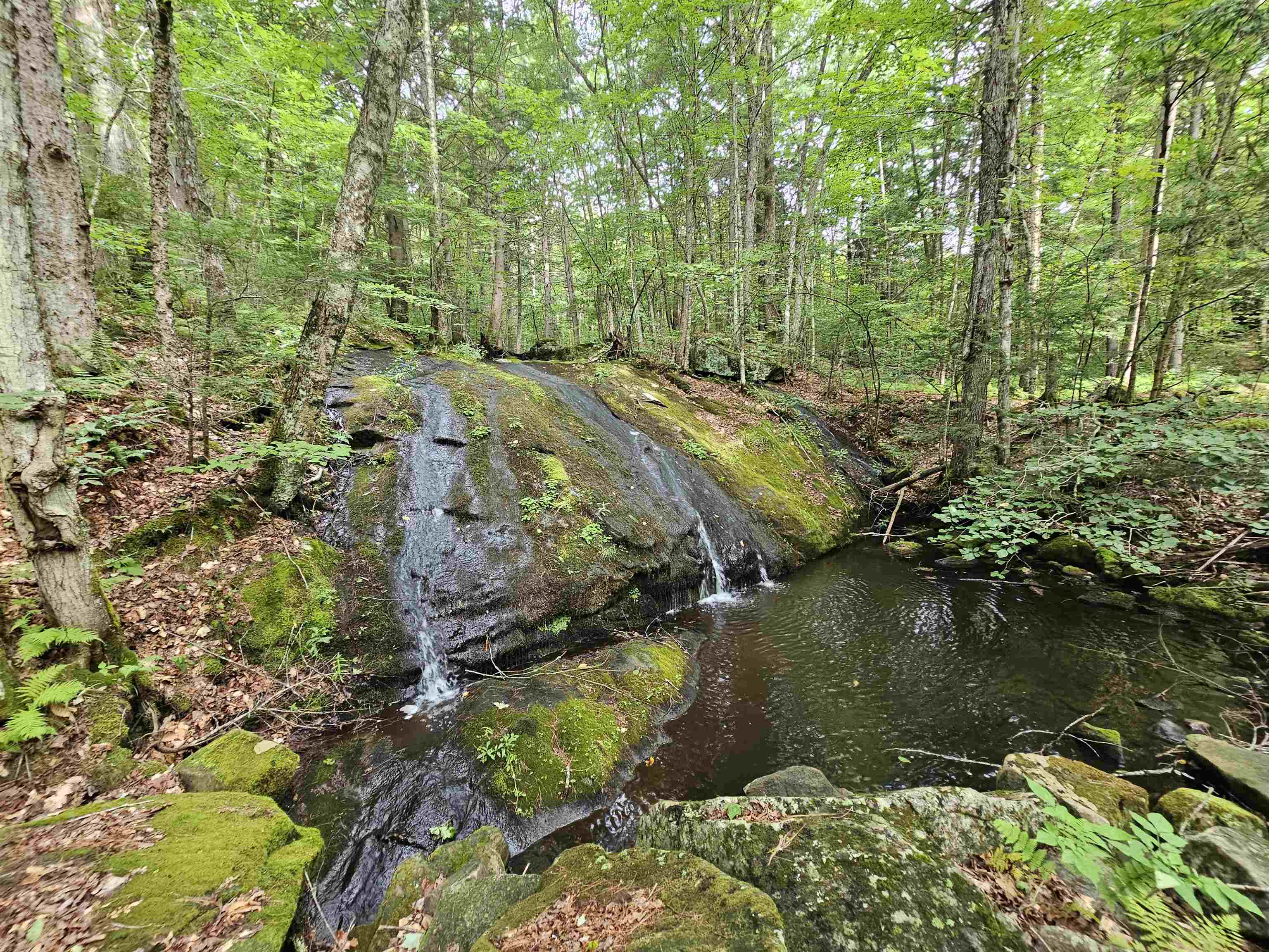 1905 Turkey Mountain Road