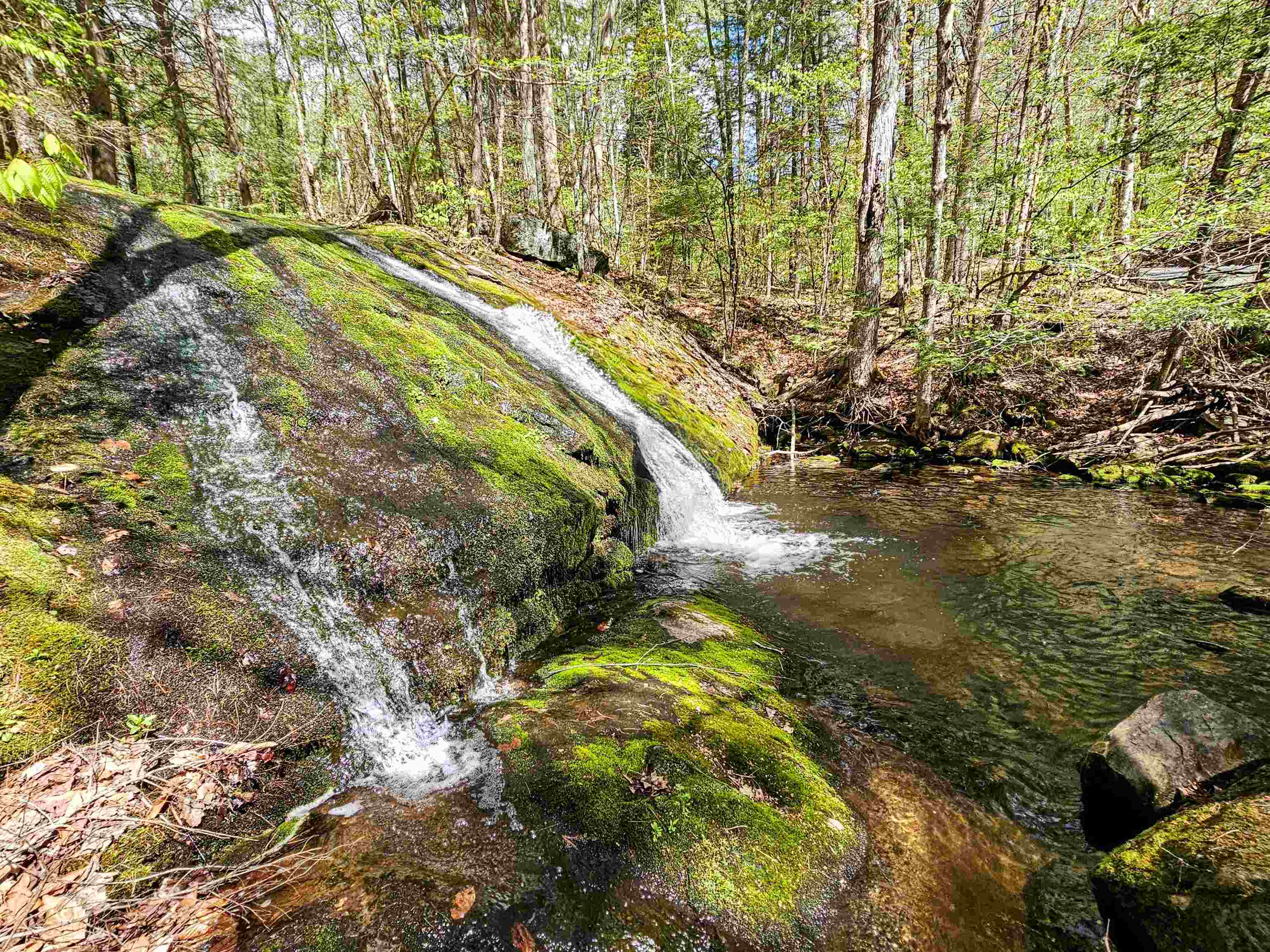 1905 Turkey Mountain Road