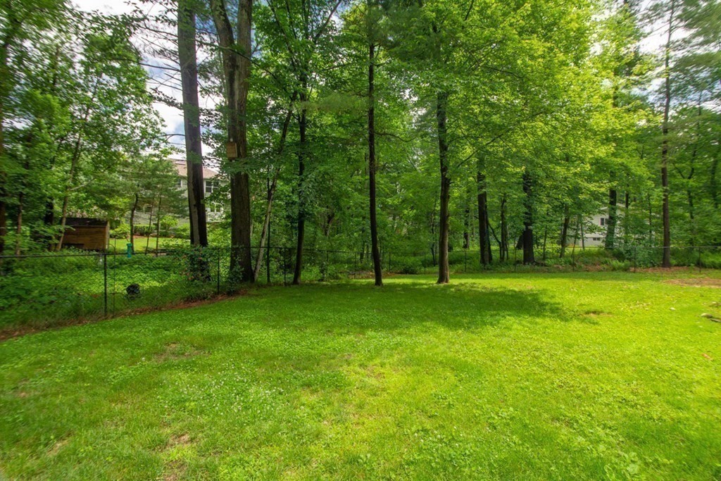 54 Blackmer Road