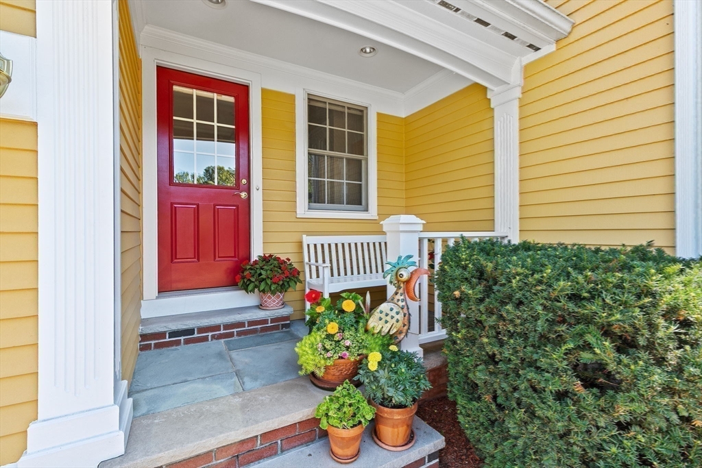 75 Thistle Road