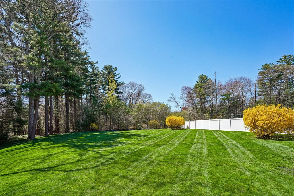 20 Walnut Hill Dr