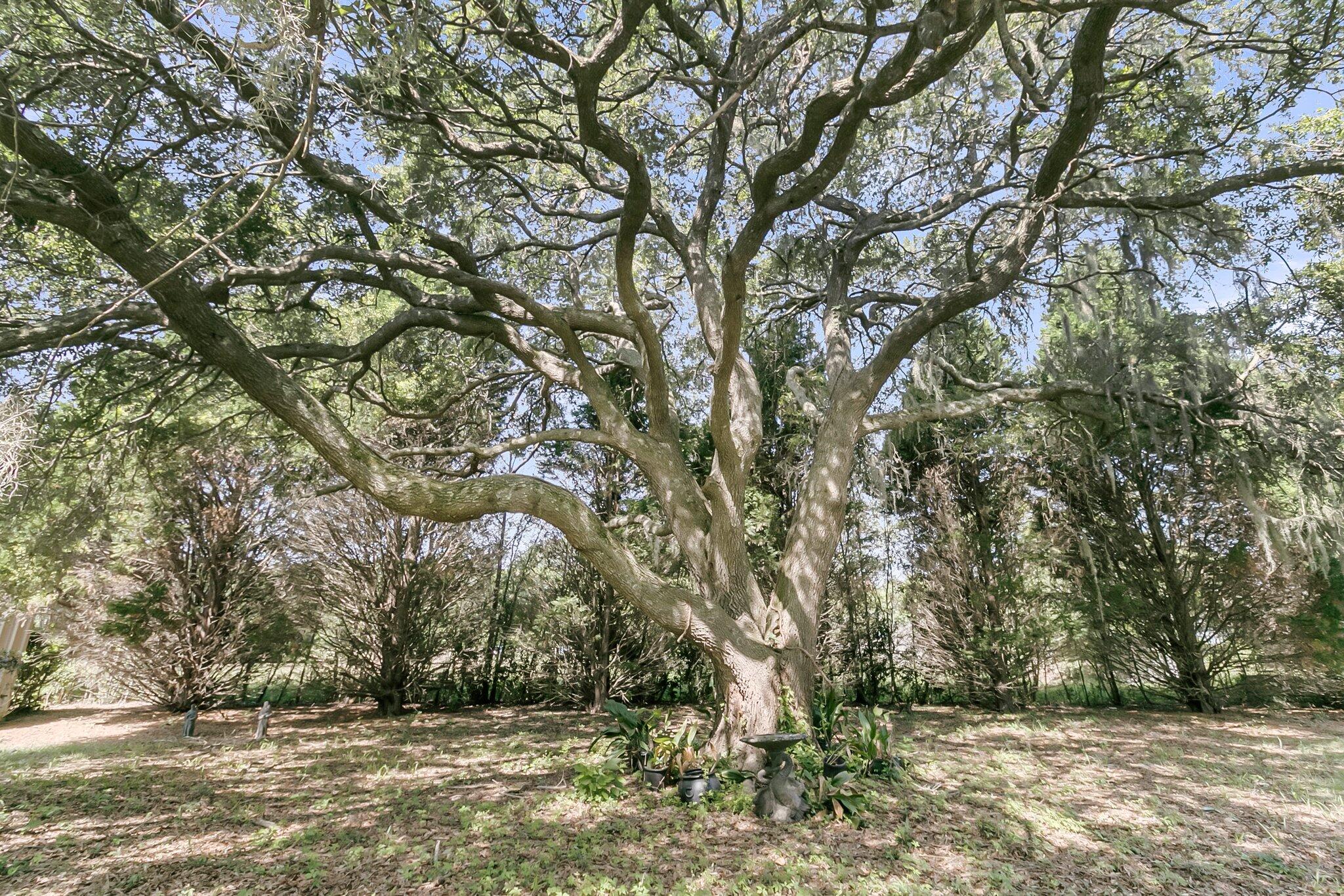 1085 Harts Bluff Road
