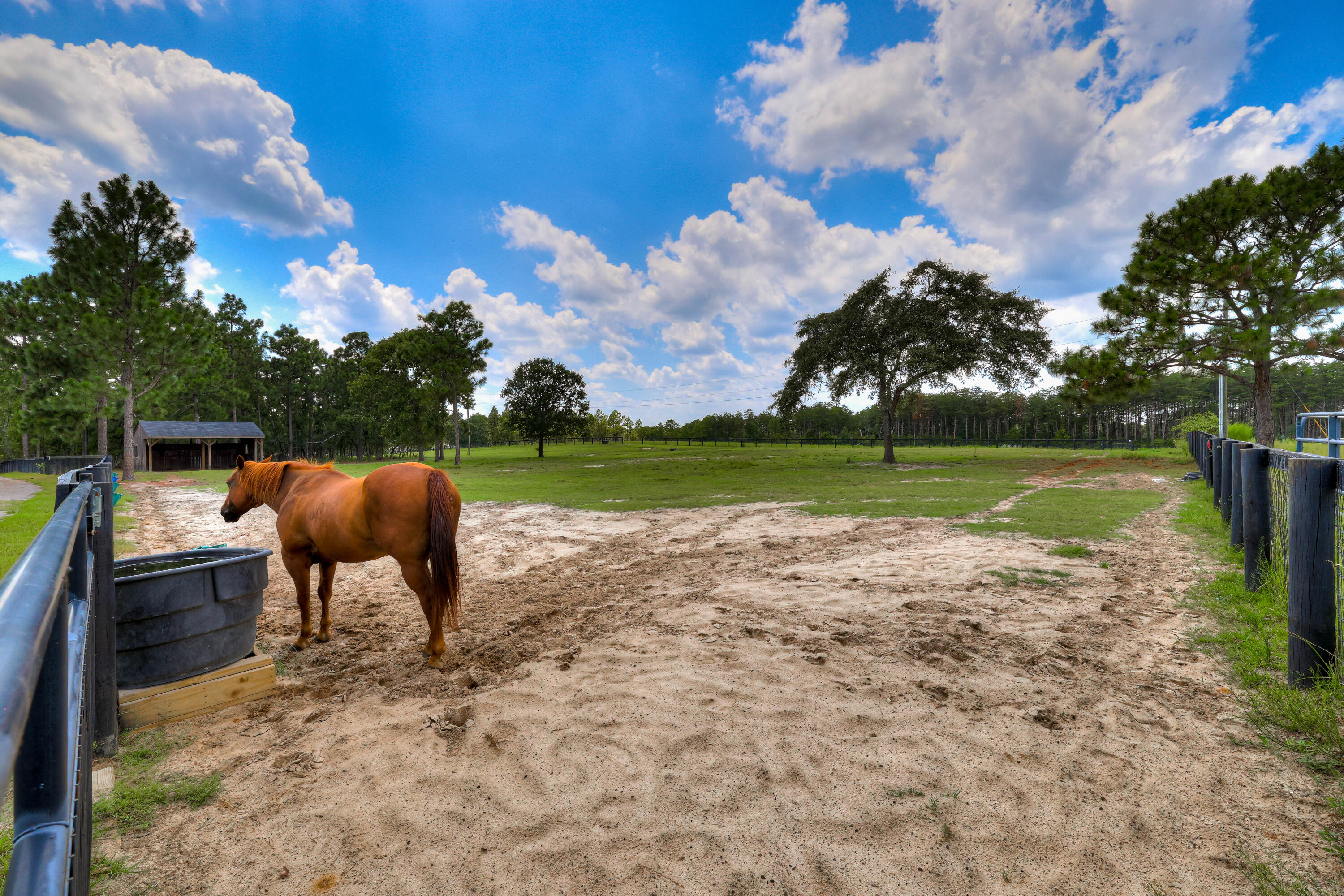8520 Stock Horse Trail