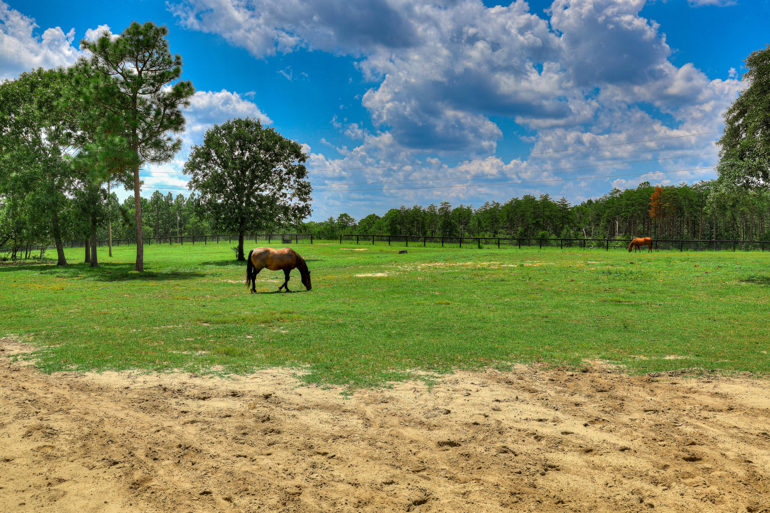 8520 Stock Horse Trail