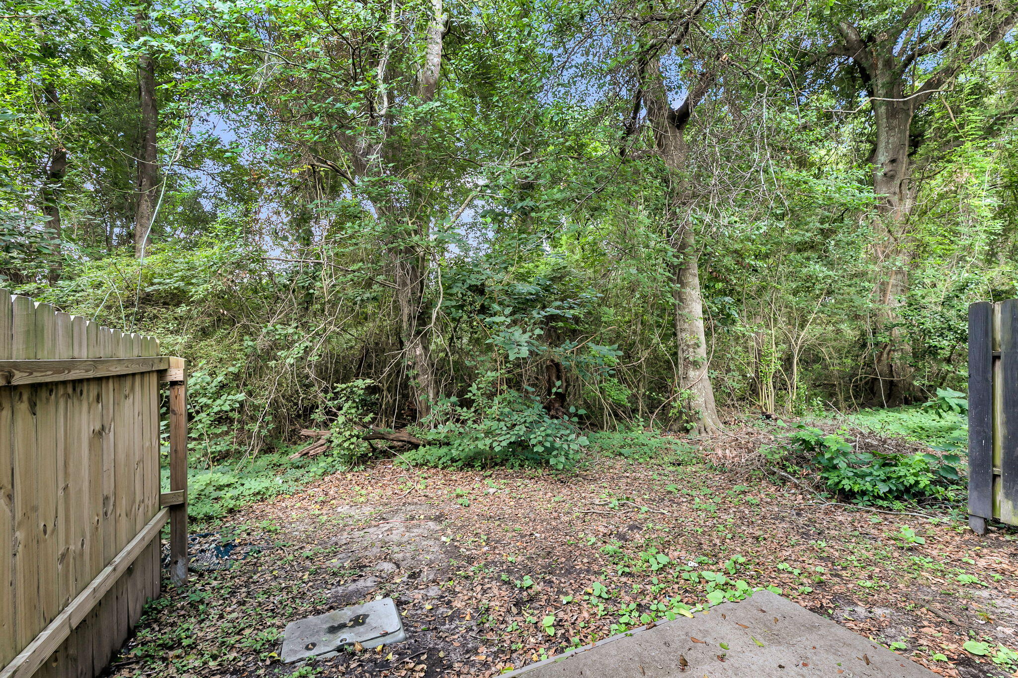 2491 Realm Street
