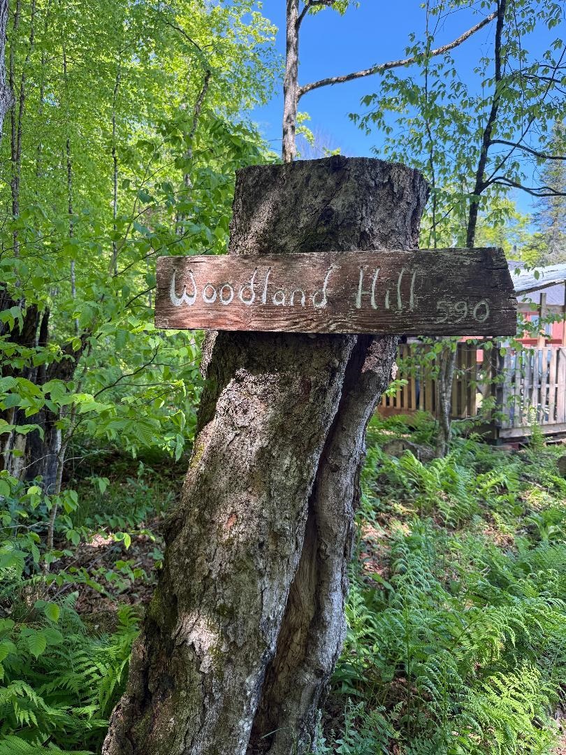 590 Blodgett Road