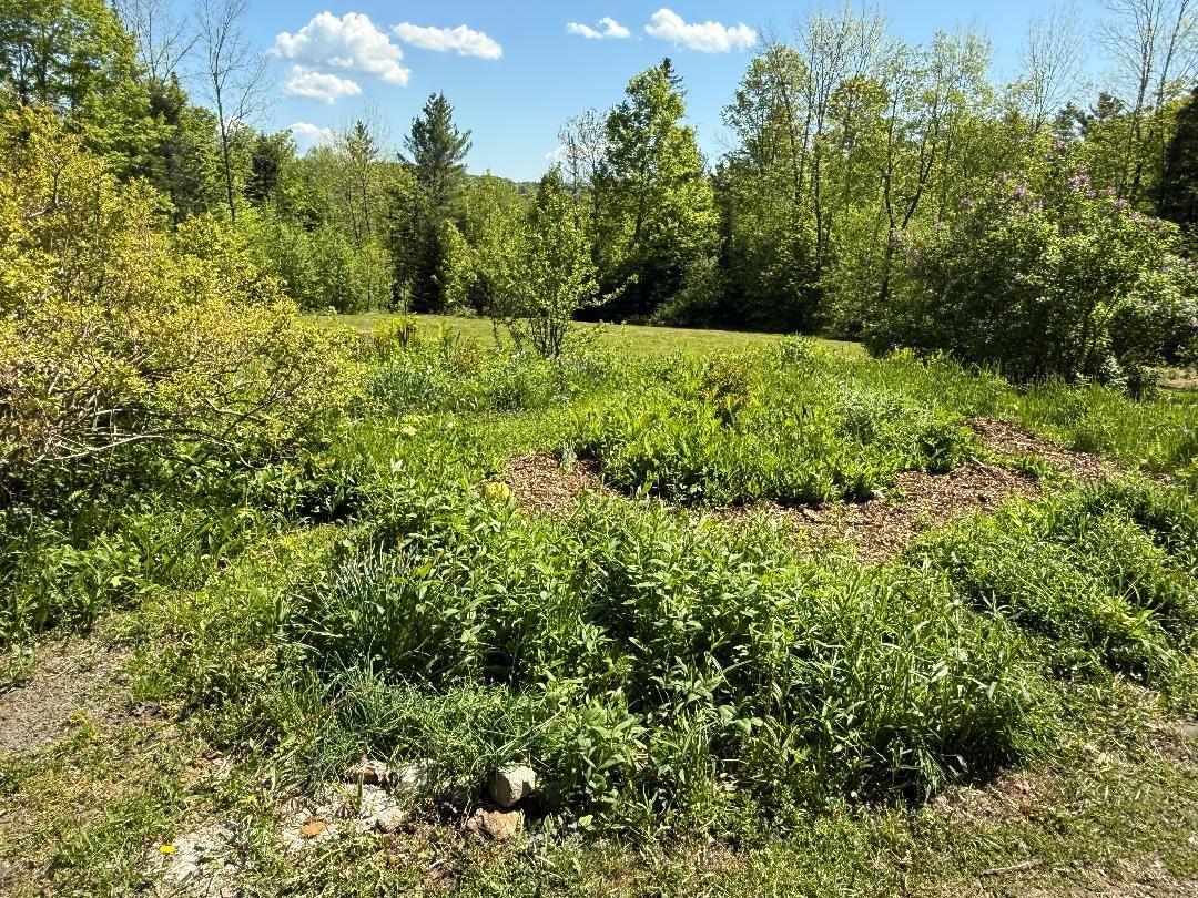590 Blodgett Road