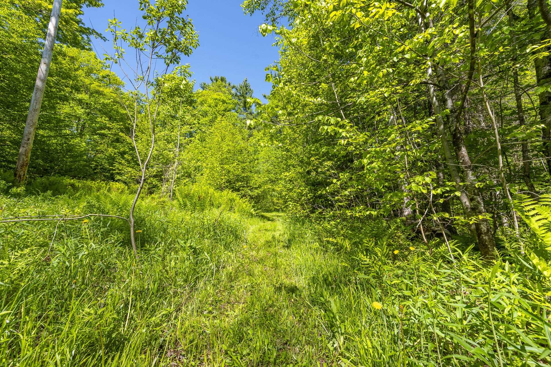 590 Blodgett Road