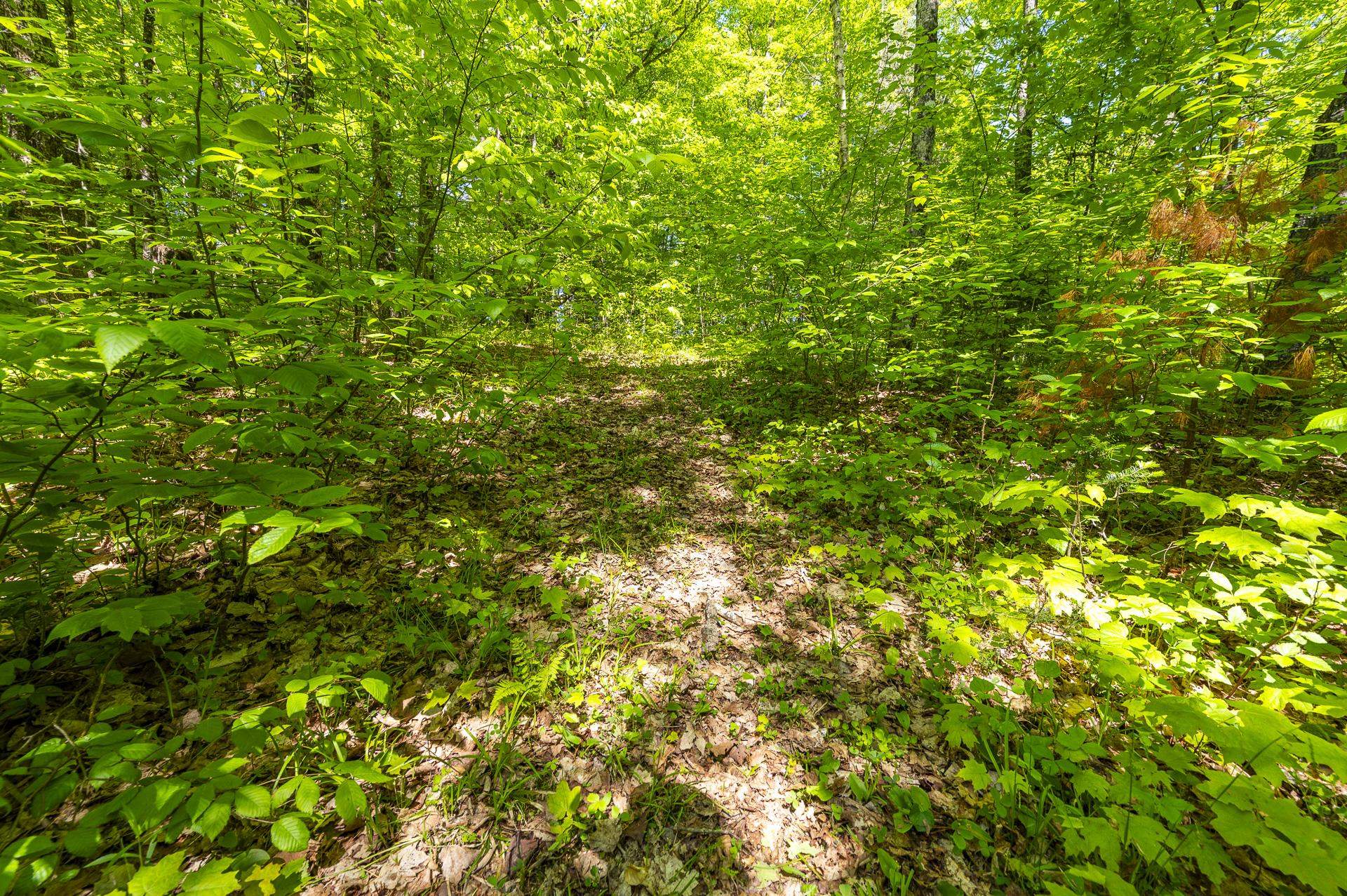 590 Blodgett Road
