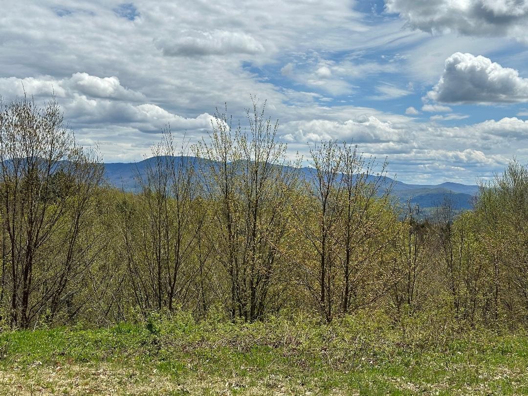 00 Robinson Springs Road Unit: 71