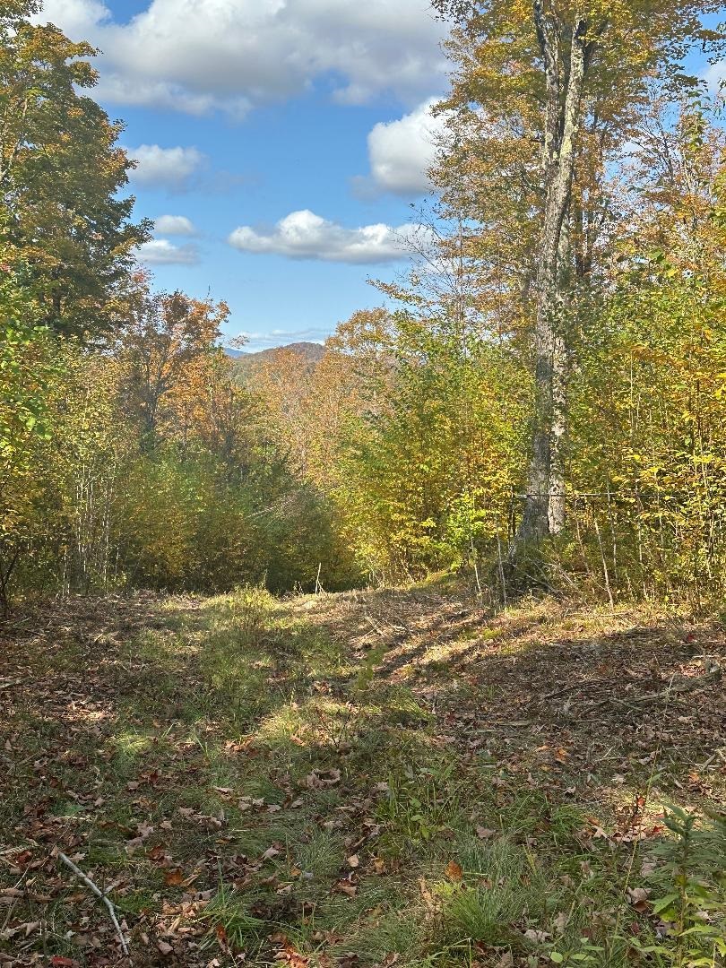 0 Brookview Lane