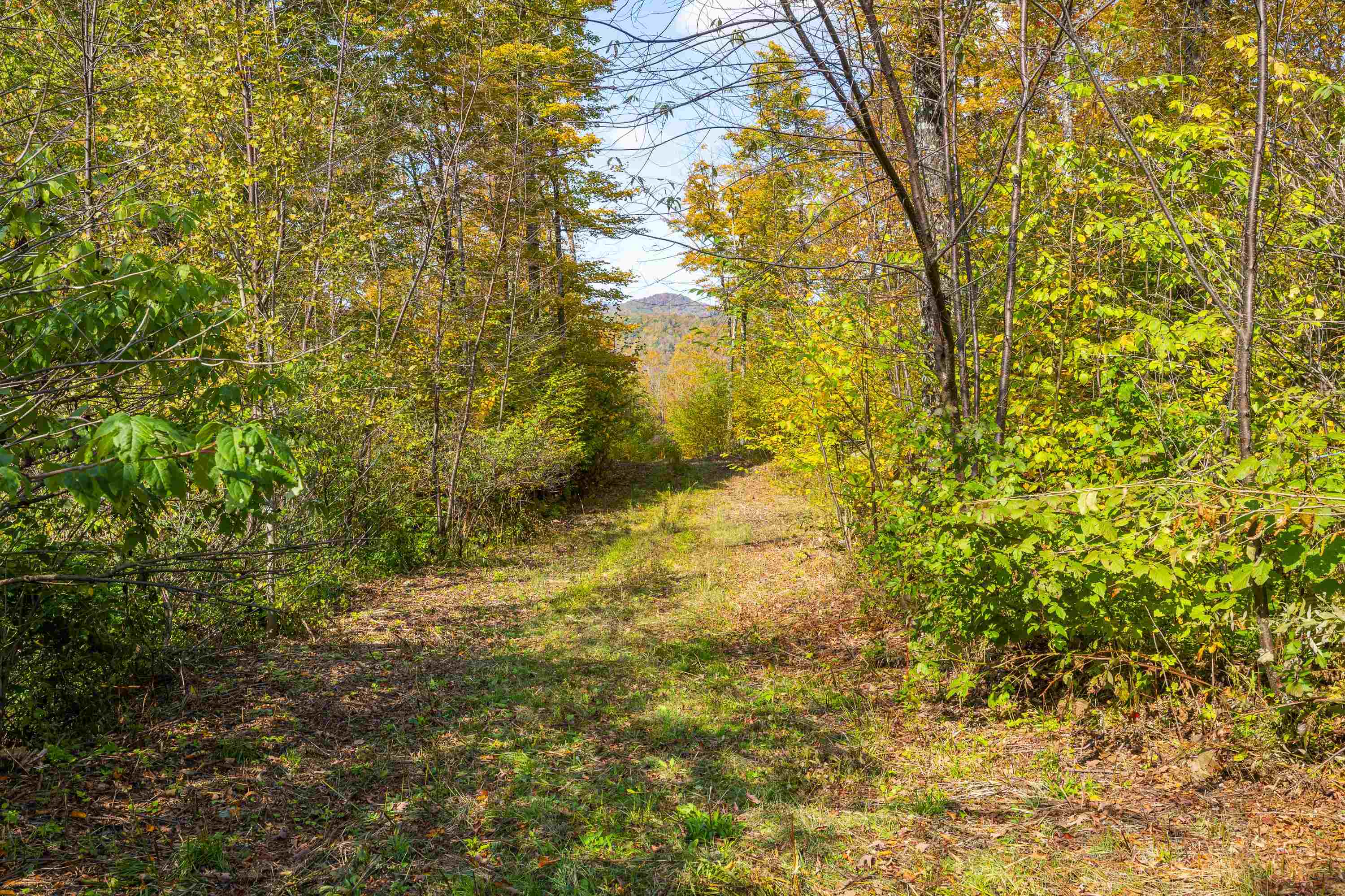 0 Brookview Lane