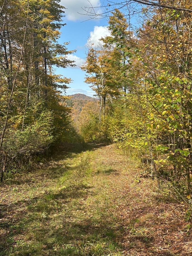 0 Brookview Lane