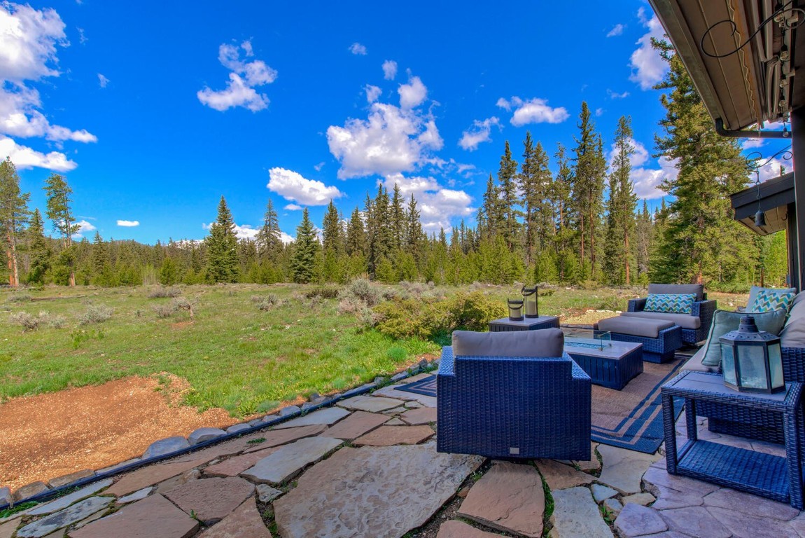 862 Penstemon ROAD