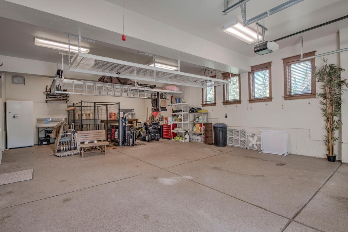 862 Penstemon ROAD
