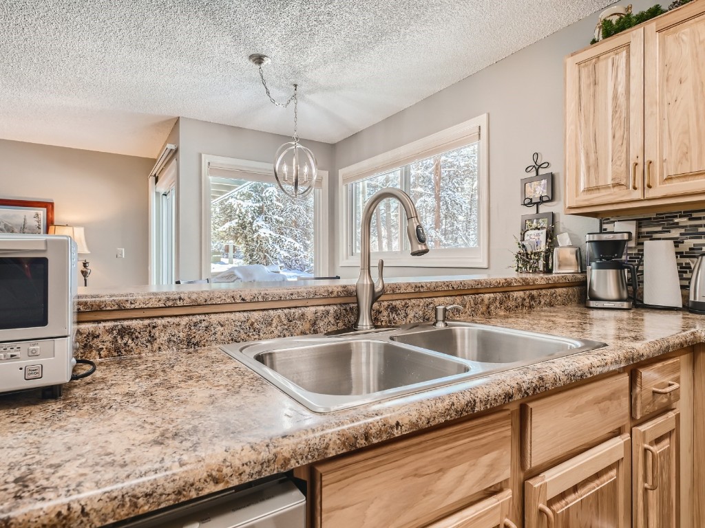 100 Wild Irishman ROAD 1110