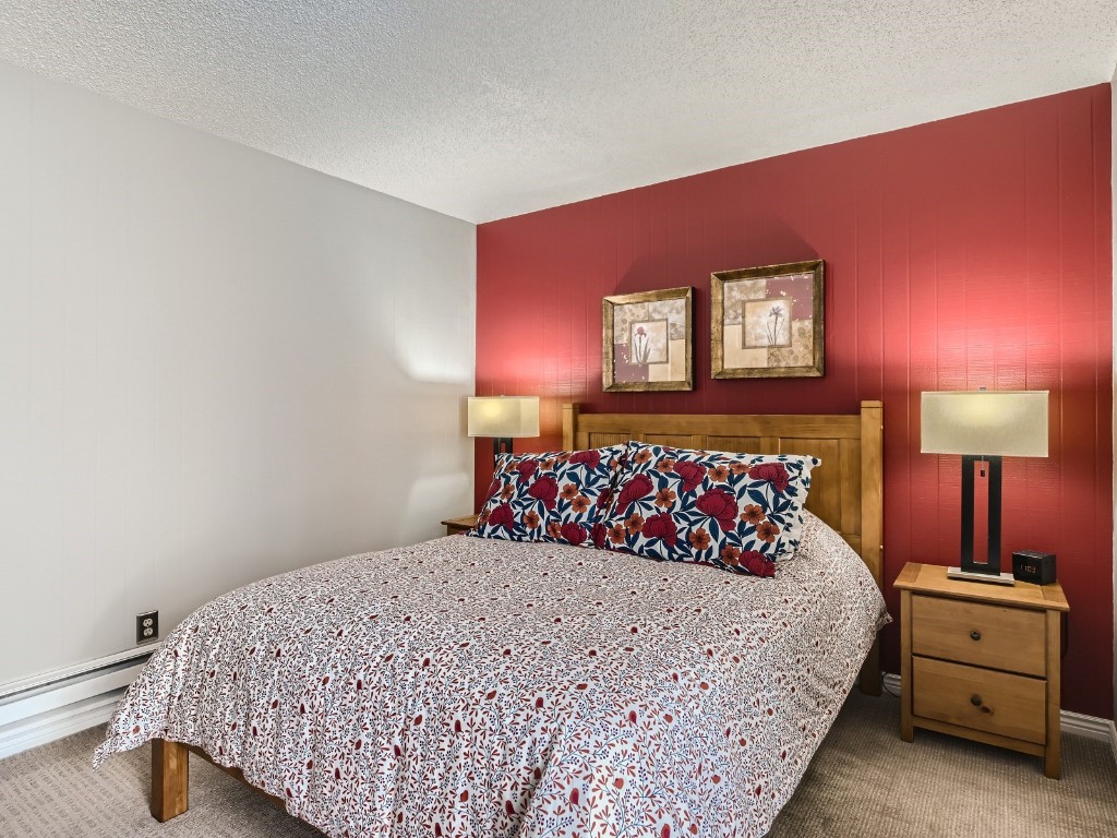 100 Wild Irishman ROAD 1110