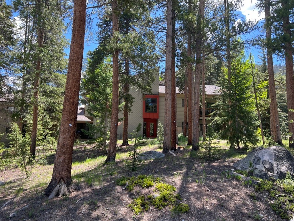 100 Wild Irishman ROAD 1110