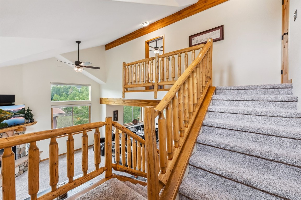 31 Montane COURT