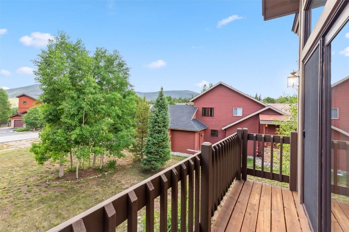 31 Montane COURT