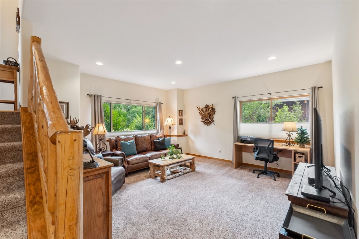 31 Montane COURT