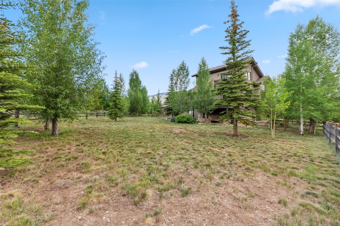 31 Montane COURT