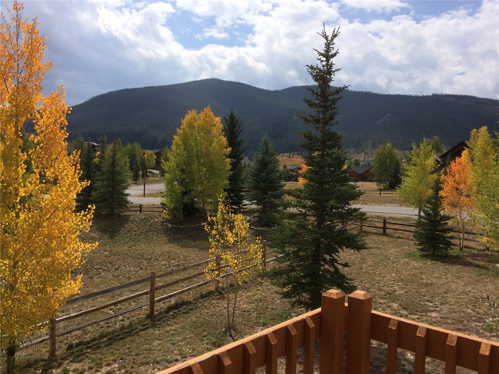 31 Montane COURT