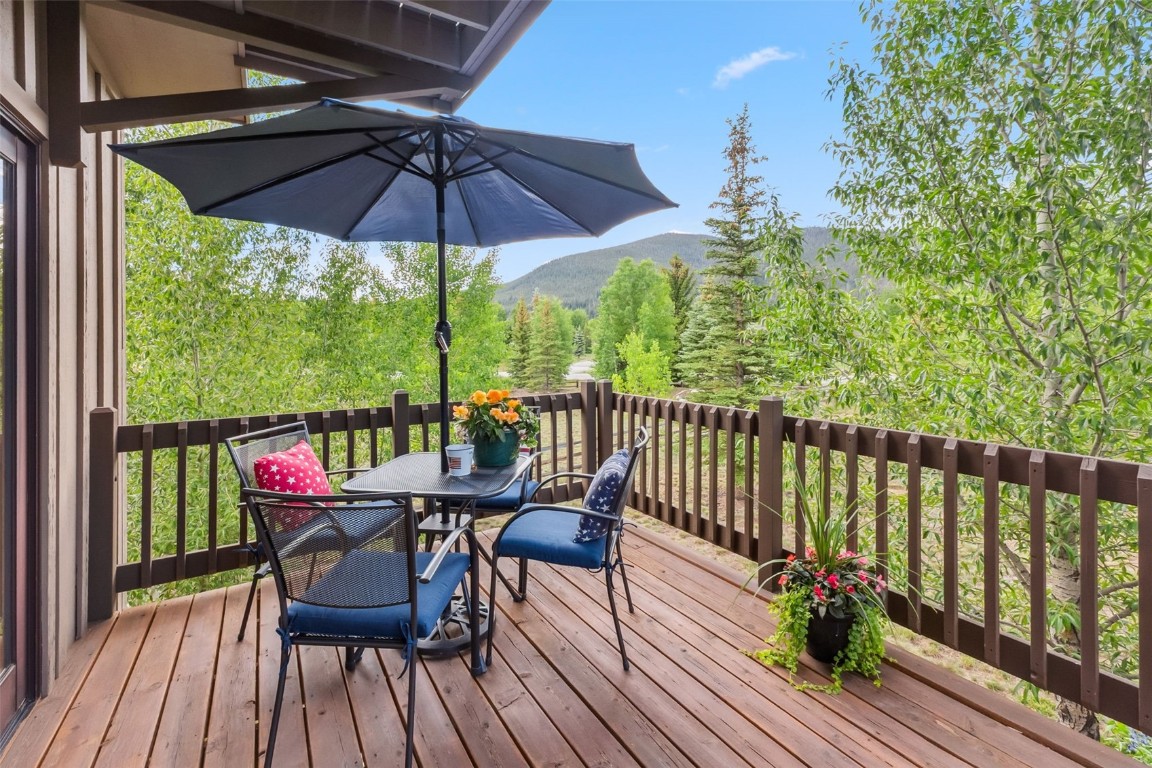 31 Montane COURT