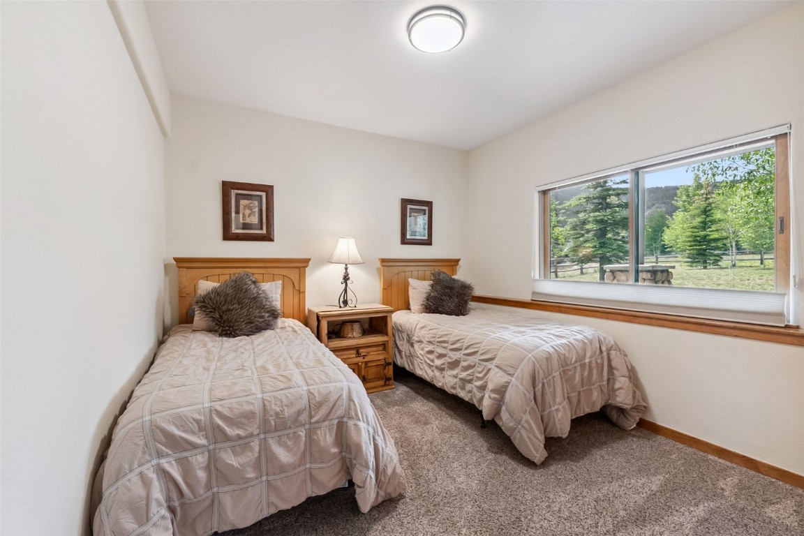 31 Montane COURT