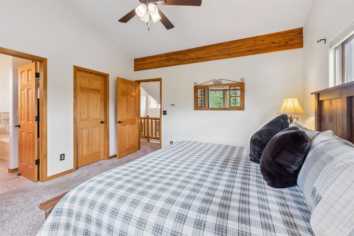 31 Montane COURT