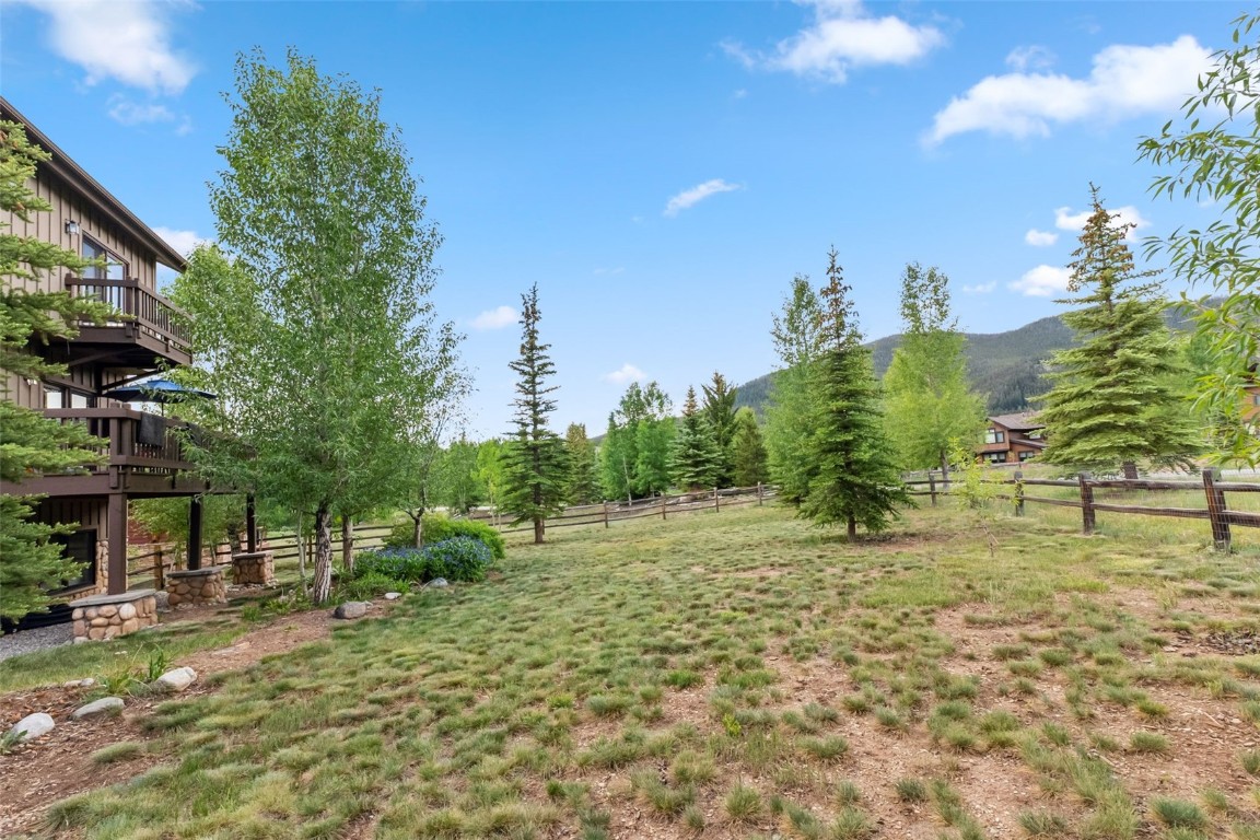 31 Montane COURT