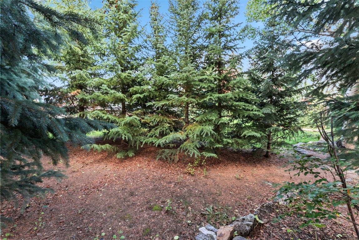 249 E Coyote COURT