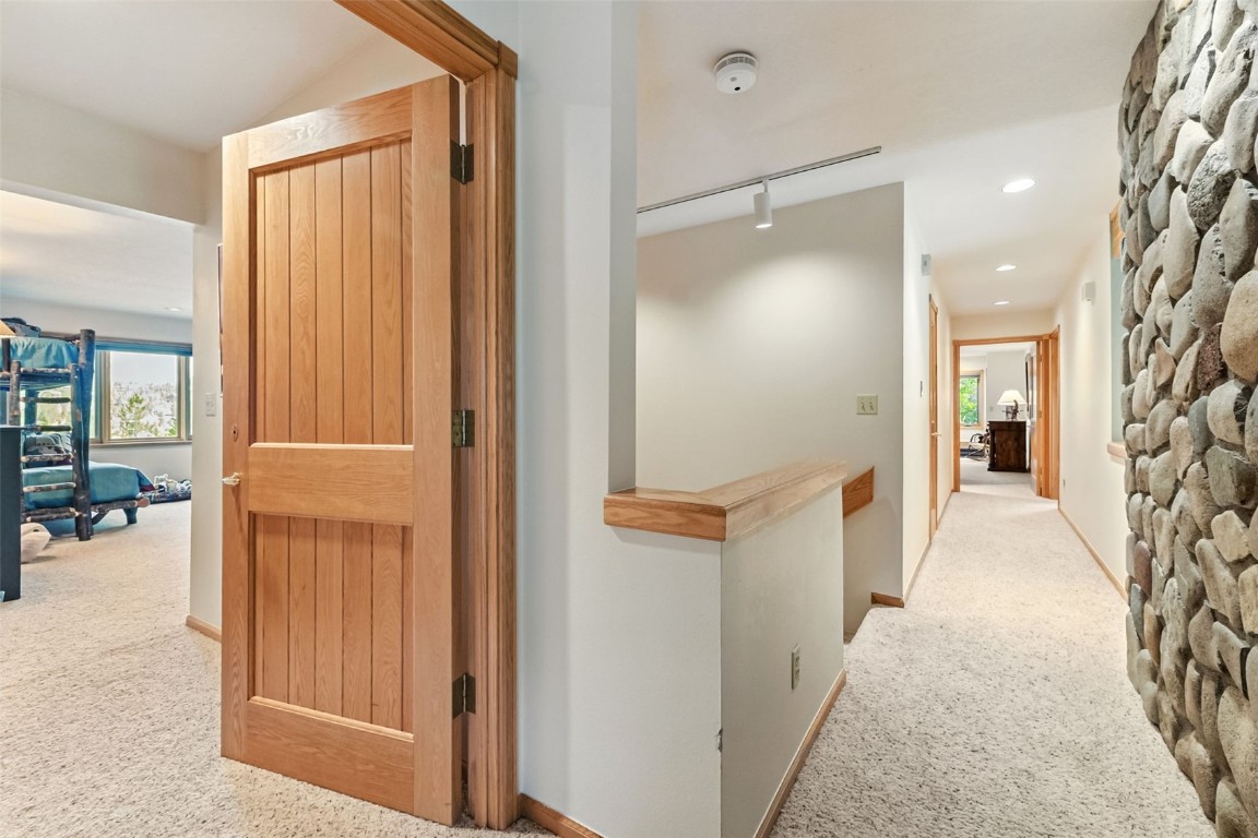 272 Penstemon ROAD