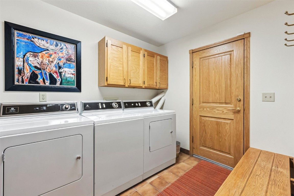 272 Penstemon ROAD