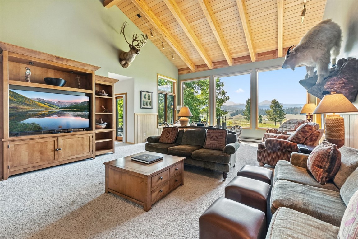 272 Penstemon ROAD