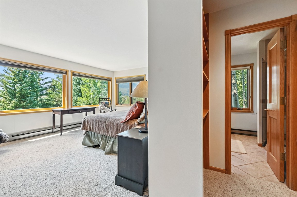272 Penstemon ROAD