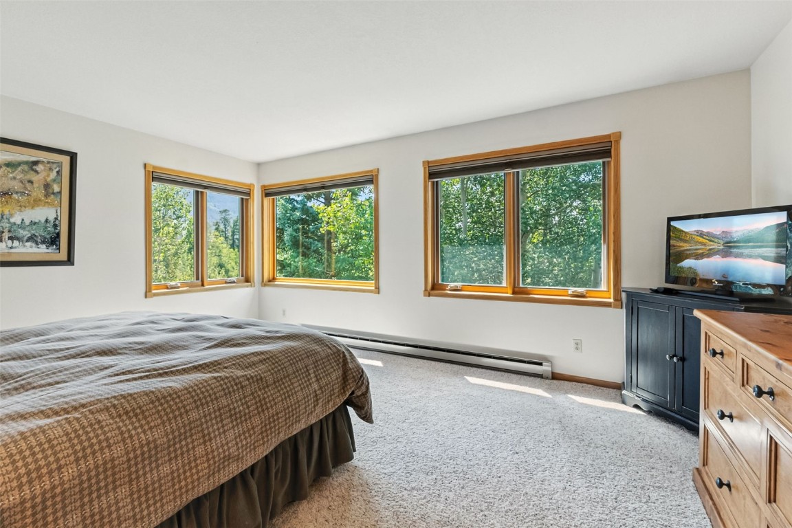 272 Penstemon ROAD
